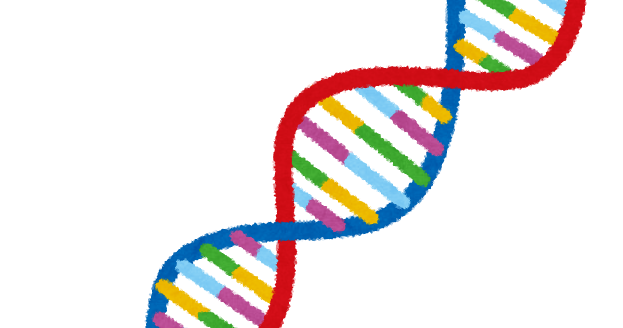 DNAのイラスト | かわいいフリー素材集 いらすとや